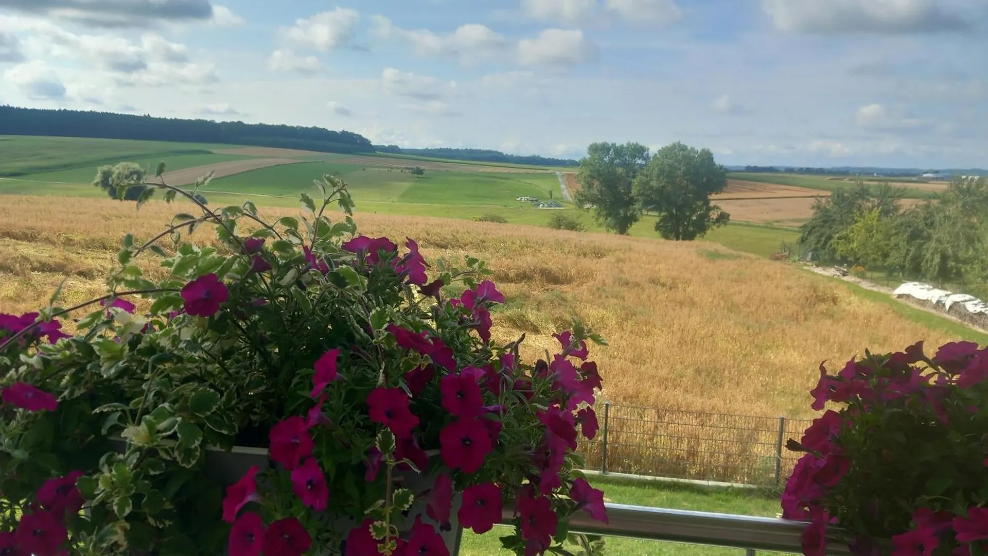 Ferienwohnung Maria Waldblick Burtenbach