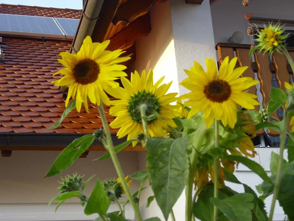 Ferienwohnung Maria Waldblick 95 Qm,